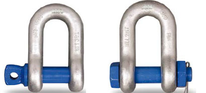 Grade T8 D Shackle